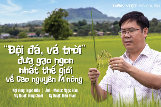Chủ tịch UBND huyện Krông Nô, Đắk Nông: "Đội đá, vá trời" đưa gạo ngon nhất thế giới về cao nguyên M'nông