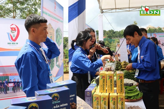 Tuổi trẻ Đắk Nông khởi nghiệp sáng tạo