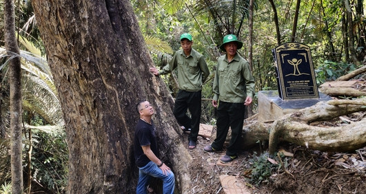 Phát triển kinh tế rừng Đắk Nông (bài 3): Cơ hội rừng phòng hộ Thác Mơ