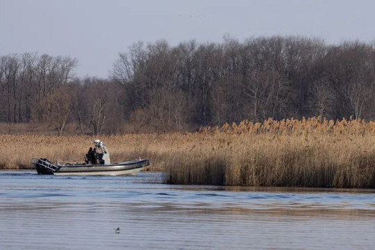 Canada: 8 người thiệt mạng ở đầm lầy khi tìm cách vượt biên sang Mỹ