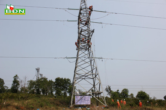 Truyền tải điện Đắk Nông diễn tập phòng, chống thiên tai tại đường dây dây 220kV Buôn Tua Srah