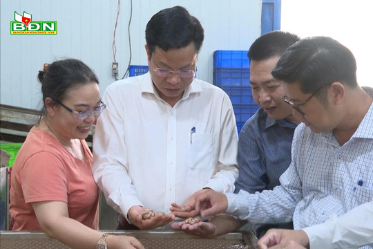 Đồng chí Lưu Văn Trung thăm các doanh nghiệp tại Đắk R’lấp
