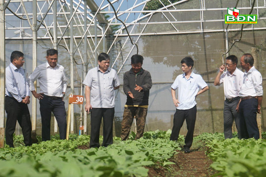 HĐND tỉnh Đắk Nông giám sát về phát triển nông nghiệp tại Đắk Glong
