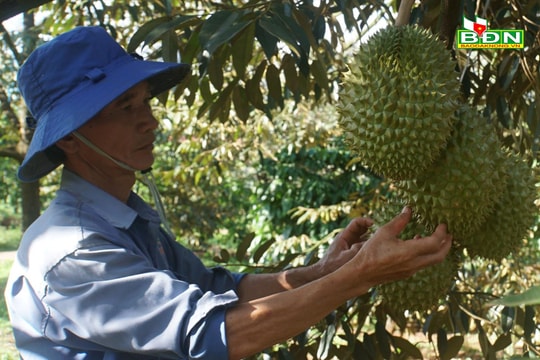 Cựu chiến binh Nguyễn Hồng Thanh - gương sáng về học Bác