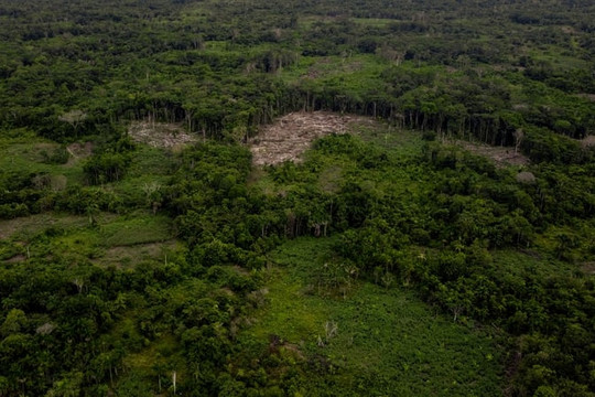 Vụ tai nạn máy bay ở Colombia: Bốn trẻ em sống sót thần kỳ sau 17 ngày