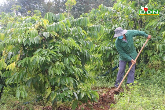 Krông Nô nâng cao nguồn vốn ủy thác địa phương