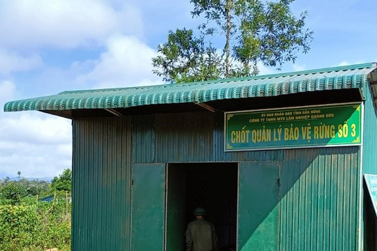 Đắk Nông: Điều tra làm rõ vụ nổ súng vào chốt quản lý, bảo vệ rừng
