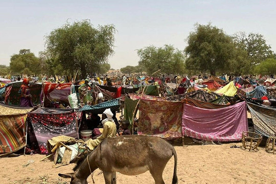 AU kiên quyết bác bỏ giải pháp quân sự đối với Sudan