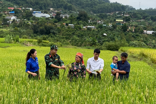 Đắk Nông: Huy động nhiều nguồn lực xây dựng nông thôn mới