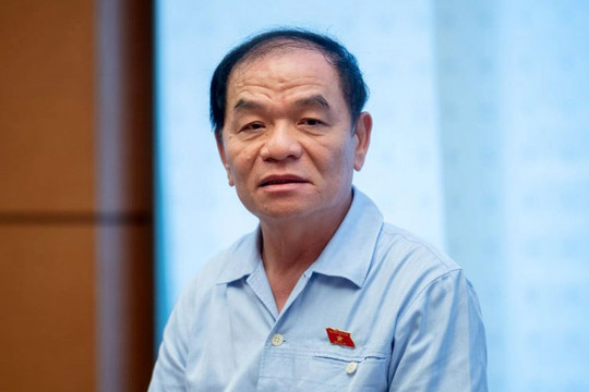 ĐBQH Lê Thanh Vân đề nghị Chính phủ thanh tra đặc biệt EVN