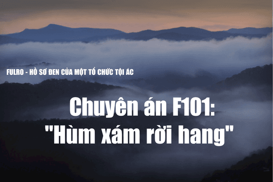 Chuyên án F101: "Hùm xám rời hang"