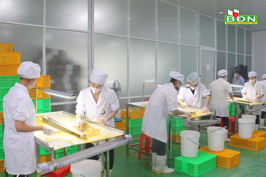 Đắk Nông quyết tâm đạt mục tiêu tăng trưởng