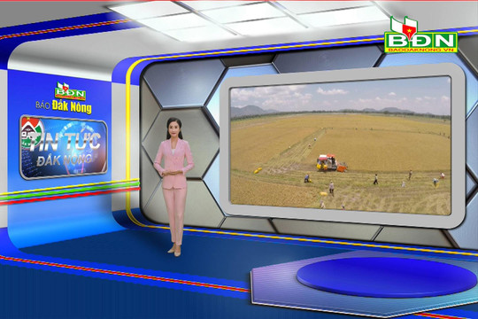 Chương trình Tin tức Đắk Nông ngày 23/8/2023