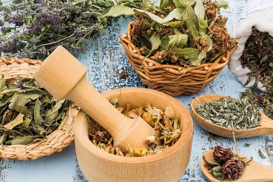 Nguồn dược liệu trong nước mới chỉ đáp ứng 25% nhu cầu sản xuất