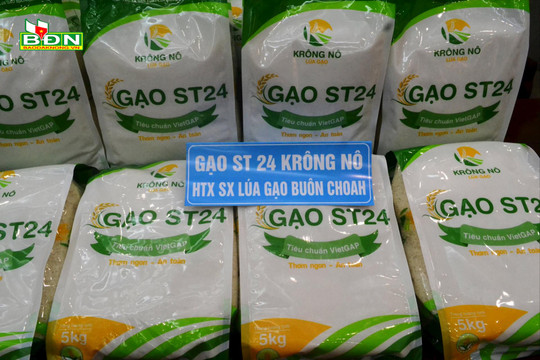 Doanh nghiệp Đắk Nông hòa nhập với cuộc sống số