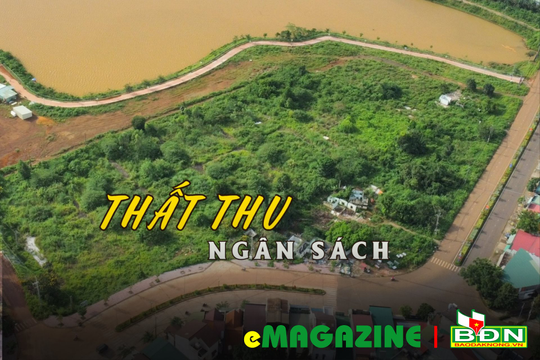 Nỗi buồn đất công ở Đắk Nông (kỳ 2): Thất thu ngân sách