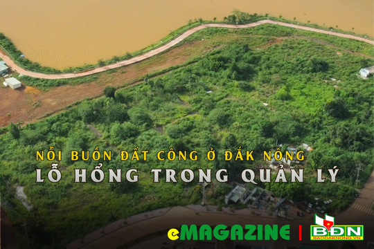Nỗi buồn đất công ở Đắk Nông (kỳ 3): Lỗ hổng trong quản lý