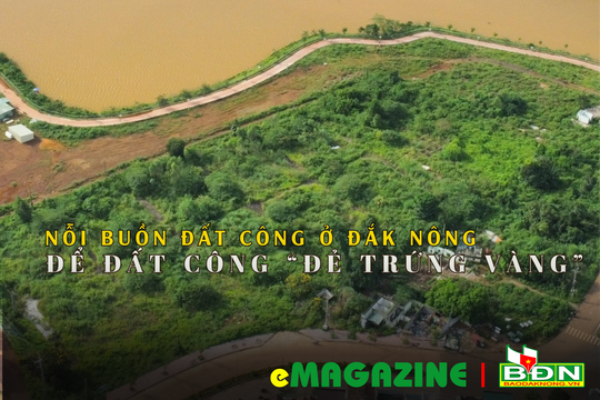 Nỗi buồn đất công ở Đắk Nông (kỳ 4): Để đất công “đẻ trứng vàng”