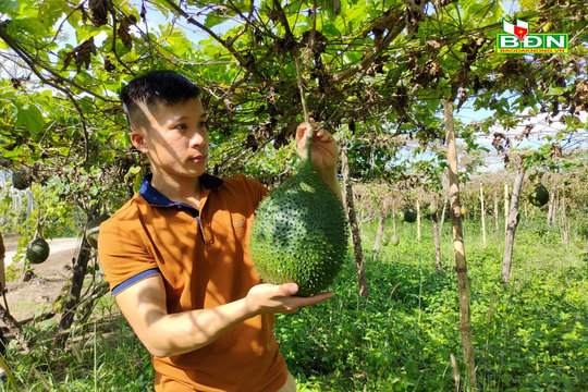 Những người trẻ của Đắk Nông đương đầu với thương trường
