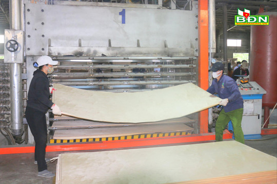 Doanh nghiệp Đắk Nông nỗ lực vượt “bão”