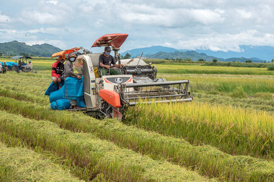 Liên kết sản xuất - Kết nối nông dân, nâng tầm nông sản Đắk Nông