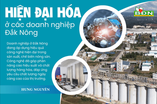 Hiện đại hoá ở các doanh nghiệp Đắk Nông