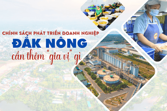 Chính sách phát triển doanh nghiệp - Đắk Nông cần thêm "gia vị" gì?