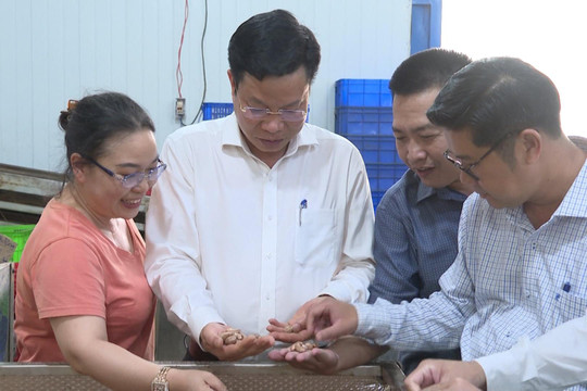  Vai trò động lực của doanh nghiệp, doanh nhân Đắk Nông