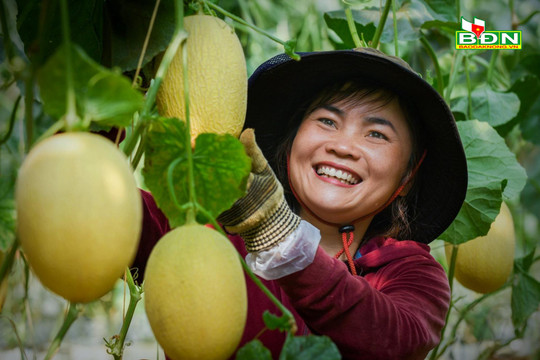 Phụ nữ Đắk Nông khẳng định vai trò, vị thế trong thời đại mới