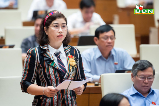 ĐBQH Đắk Nông: Đề nghị kéo dài thời hạn giải ngân vốn 3 chương trình MTQG