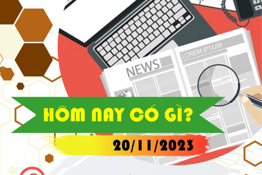 Hôm nay có gì? 20/11/2023
