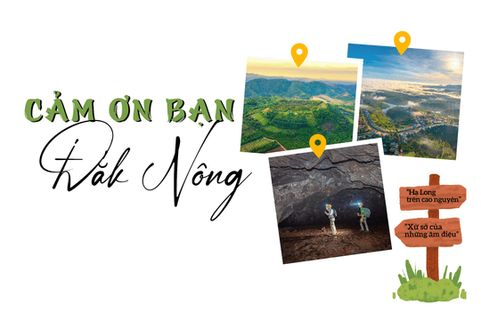 Cảm ơn bạn Đắk Nông
