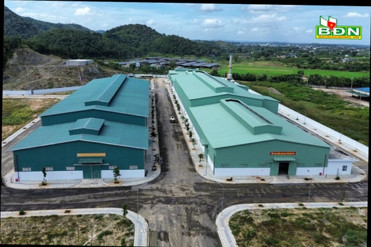 “Sếu đầu đàn” đến đầu tư tại Đắk Nông