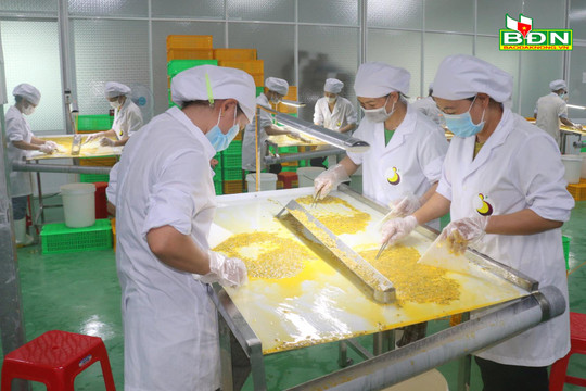 Đắk Nông nỗ lực "trải thảm đỏ" chờ nhà đầu tư