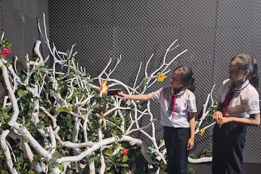 Để học sinh Gia Nghĩa hiểu và yêu CVĐCTC UNESCO Đắk Nông hơn