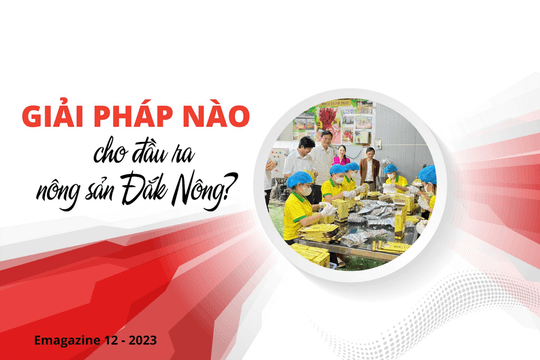 Giải pháp nào cho đầu ra nông sản Đắk Nông?