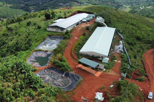 Đắk Nông chấn chỉnh bảo vệ môi trường các trang trại heo