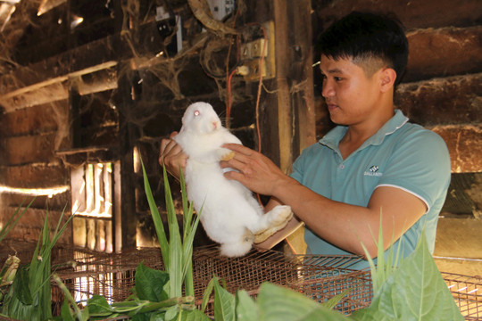 Tuổi trẻ Đắk Nông với khát vọng lập nghiệp