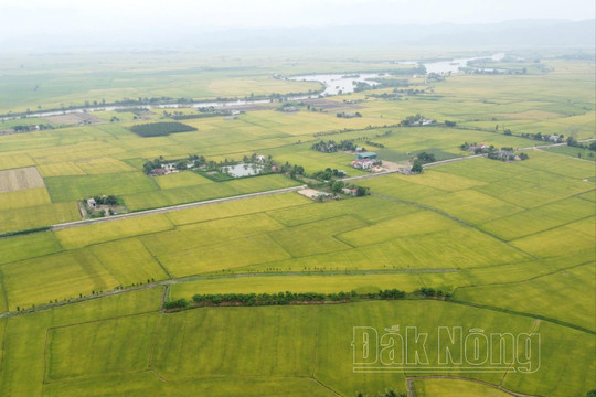 Nông dân Đắk Nông với nông nghiệp xanh