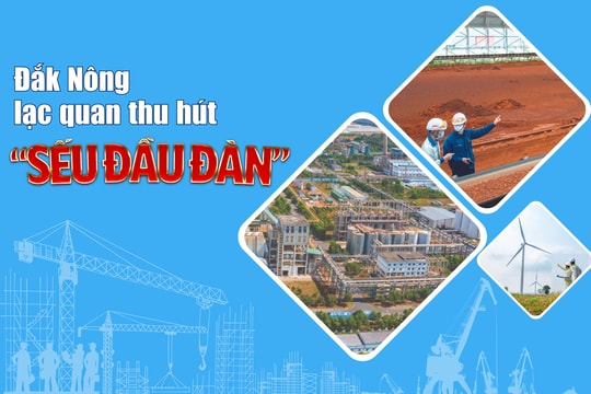 Đắk Nông lạc quan thu hút “sếu đầu đàn”