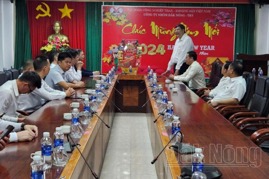 Đồng chí Lê Văn Chiến thăm, chúc tết Công ty Nhôm Đắk Nông