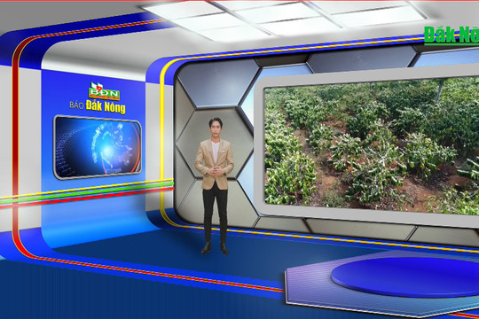 Chương trình Tin tức Đắk Nông ngày 16/2/2024
