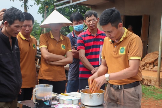 Đắk Nông áp dụng công nghệ sinh học trong nông nghiệp