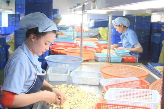 Bước tiến trong xúc tiến đầu tư ở Đắk Nông