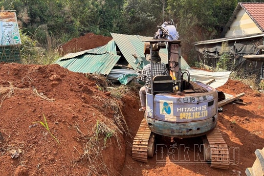 Đắk Nông cưỡng chế các hộ dân lấn chiếm đất rừng thông dọc quốc lộ 14