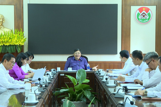 Ngày 23/3/2024 sẽ tổ chức Hội nghị Công bố Quy hoạch và Xúc tiến đầu tư tỉnh Đắk Nông
