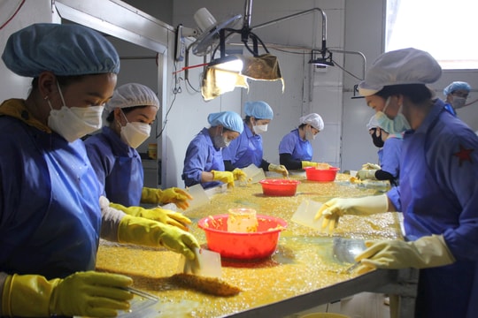 Doanh nghiệp Đắk Nông lớn mạnh sau 20 năm