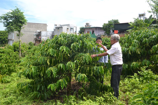 Đắk Nông thực hiện tốt công tác giảm nghèo bền vững