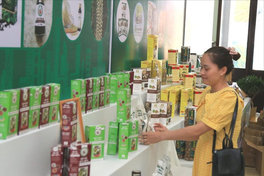Đắk Nông giới thiệu các sản phẩm chủ lực tại Lễ công bố quy hoạch và xúc tiến đầu tư