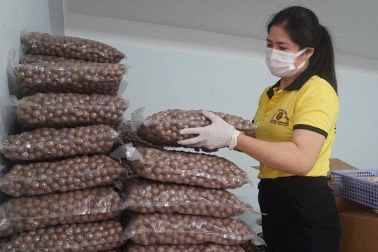 Giảm bán thô, tăng chế biến để nông sản Đắk Nông vươn xa
